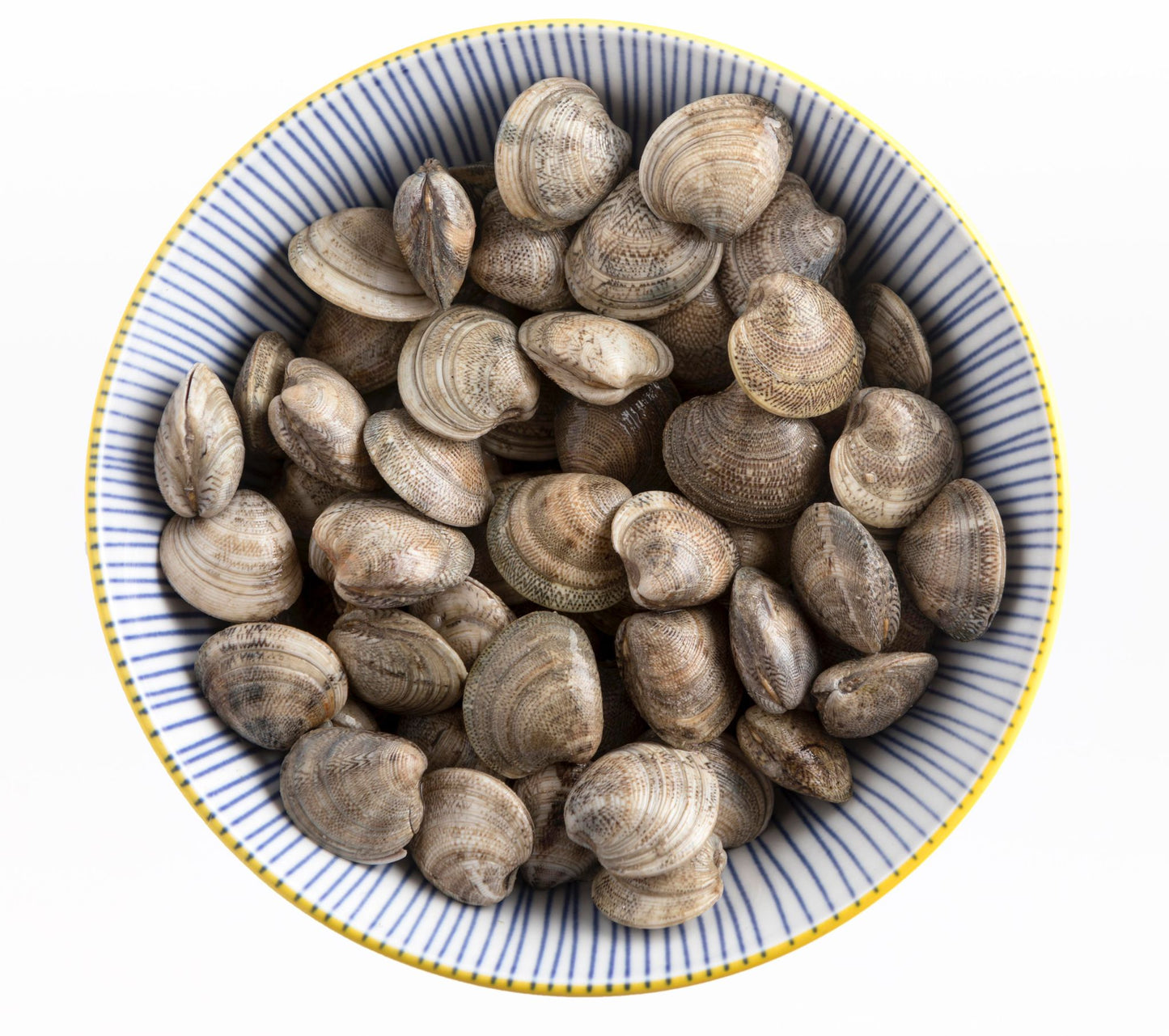 White Clam 500g