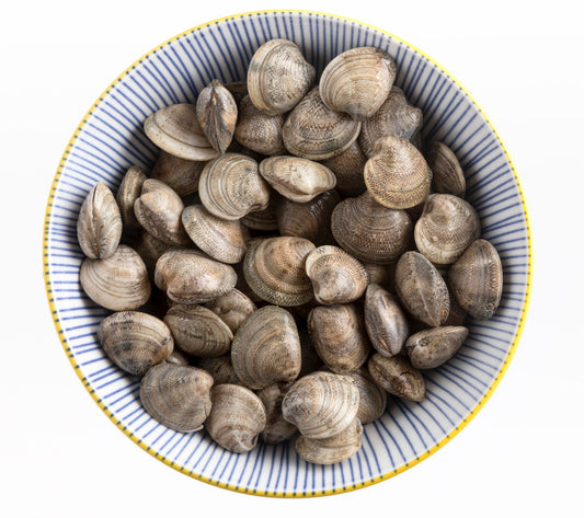 White Clam 500g